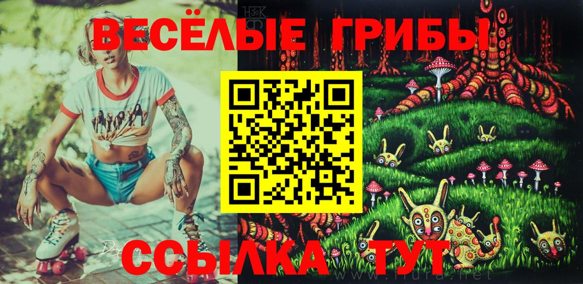 Чернушка  Псилоцибиновые грибы мицелий  Галлюциногенные грибы Magic Shrooms  Вход с VPN 